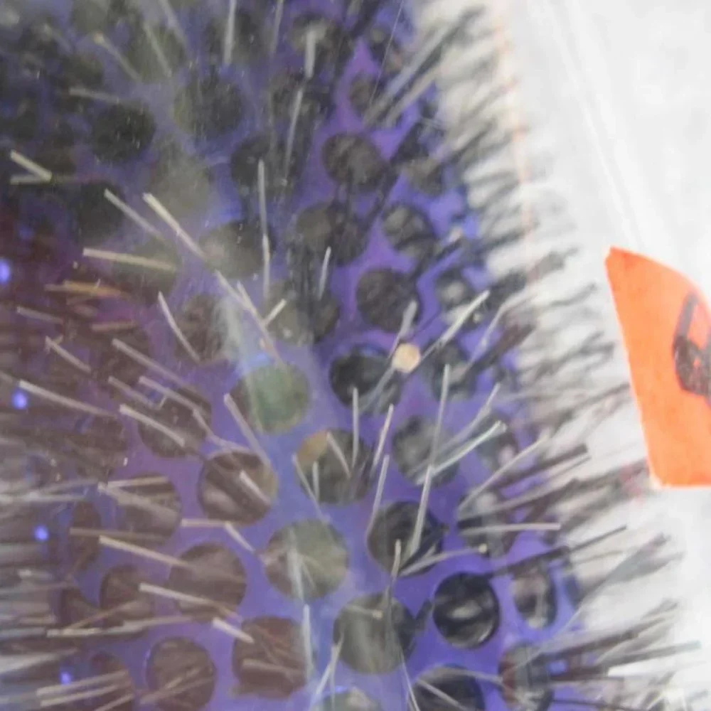 Goody Hot Curling Round Hair Brush 1 1/4